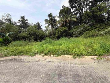 RESIDENTIAL FARM LOT IN MENDEZ CAVITE - TITLED LOT