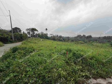 RESIDENTIAL FARM LOT IN MENDEZ CAVITE - TITLED LOT