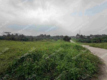 RESIDENTIAL FARM LOT IN MENDEZ CAVITE - TITLED LOT
