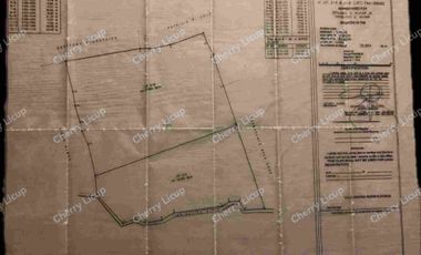 For Sale Developed Farm @ Bustos Bulacan