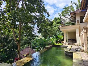 Dijual Cepat Tanah Bonus Bangunan Hotel di Kedewatan Ubud