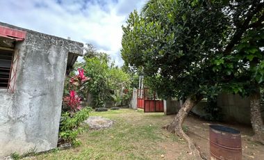 4,000 sqm Farm Lot in Halang, Amadeo Cavite for SALE! TITLED at P 4,700 per sqm