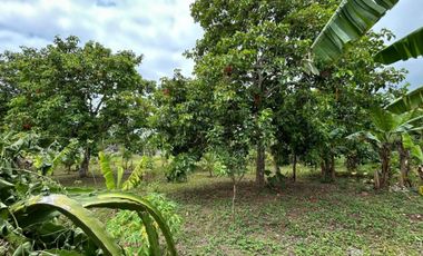 4,000 sqm Farm Lot in Halang, Amadeo Cavite for SALE! TITLED at P 4,700 per sqm