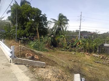 PRIME COMMERCIAL LOT FOR SALE IN SAN MARIANO, ISABELA ALONG NATIONAL HIGHWAY NEAR ISABELA STATE UNIVERSITY