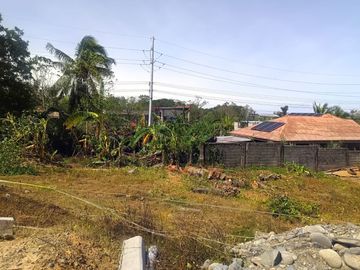PRIME COMMERCIAL LOT FOR SALE IN SAN MARIANO, ISABELA ALONG NATIONAL HIGHWAY NEAR ISABELA STATE UNIVERSITY