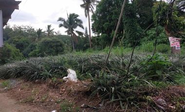 Lot along SVD Road, Maitim 2nd East, Tagaytay for SALE! 504 sqm at 9.5M