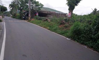 Lot along SVD Road, Maitim 2nd East, Tagaytay for SALE! 504 sqm at 9.5M