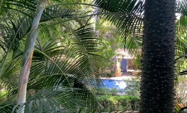 Vista Hermosa Cuernavaca Casa En Venta Con Terrenos Continuos