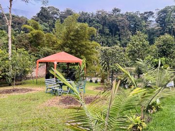 Venta Hostal funcionando en Baños, Rio Negro
