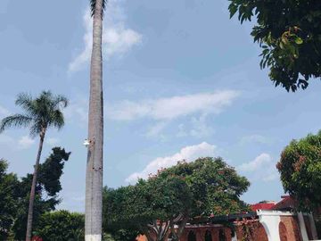 BONITA CASA AMUEBLADA O SIN MUEBLES, EN CONDOMINIO DE 8 CASAS CON ENORME JARDÍN, ALBERCA Y JACUZZI ZONA DORADA VIGILANCIA
