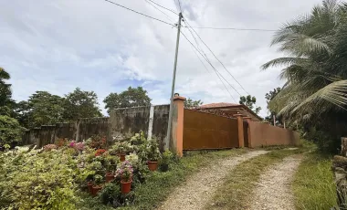 3-Bedroom House and Lot for Sale - 785 sqm - Dampas, Tagbilaran