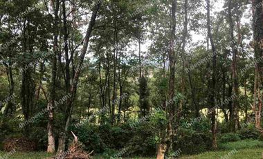Tanah Kavling Siap Bangun View Golf di Sentul