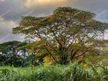 CHEAP  AGRI LOT 4.2has in Antipolo