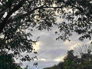 CHEAP  AGRI LOT 4.2has in Antipolo