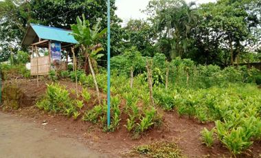 Lot in Mataas na Burol, Silang Cavite for SALE! CLEAN TITLE - 360 sqm at 6k per sqm