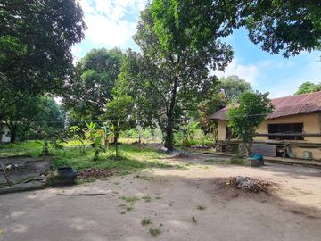 Vacation Property for Sale with Cottages, Mango Trees & Existing Pool Structure