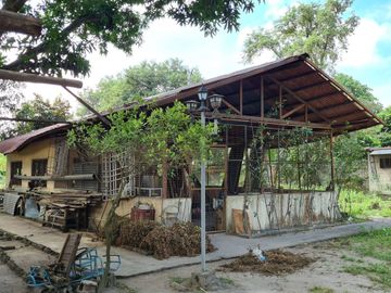 Vacation Property for Sale with Cottages, Mango Trees & Existing Pool Structure