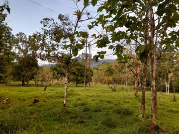 Venta Finca Ganadera y Agrícola en Mutatá Antioquia