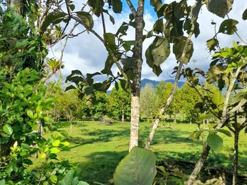 Venta Finca Ganadera y Agrícola en Mutatá Antioquia