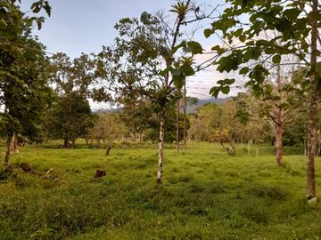 Venta Finca Ganadera y Agrícola en Mutatá Antioquia