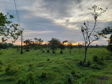 Venta Finca Ganadera y Agrícola en Mutatá Antioquia