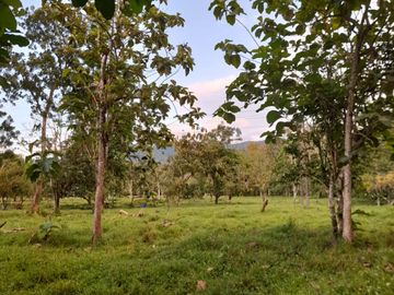 Venta Finca Ganadera y Agrícola en Mutatá Antioquia