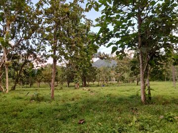Venta Finca Ganadera y Agrícola en Mutatá Antioquia
