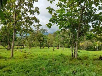 Venta Finca Ganadera y Agrícola en Mutatá Antioquia