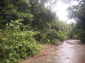 Venta Finca Ganadera y Agrícola en Mutatá Antioquia