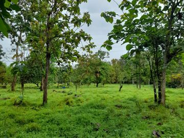 Venta Finca Ganadera y Agrícola en Mutatá Antioquia