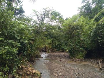 Venta Finca Ganadera y Agrícola en Mutatá Antioquia