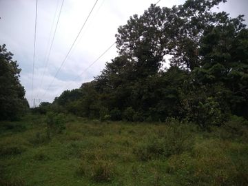 Venta Finca Ganadera y Agrícola en Mutatá Antioquia