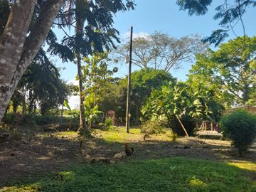Venta Finca Ganadera y Agrícola en Mutatá Antioquia