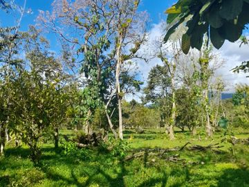 Venta Finca Ganadera y Agrícola en Mutatá Antioquia