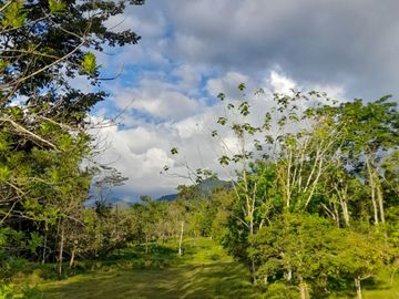 Venta Finca Ganadera y Agrícola en Mutatá Antioquia
