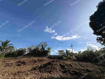 LOT FOR SALE AT LOUISE VILLE 3 NEAR TAGAYTAY CITY