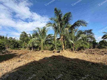 LOT FOR SALE AT LOUISE VILLE 3 NEAR TAGAYTAY CITY