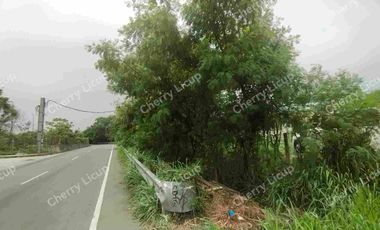 Industrial Commercial Lot At Karuhatan Valenzuela For Sale