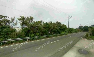 Industrial Commercial Lot At Karuhatan Valenzuela For Sale