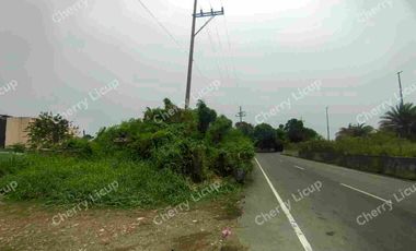 Industrial Commercial Lot At Karuhatan Valenzuela For Sale