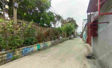 Interior Industrial Lot @ Valenzuela For Sale