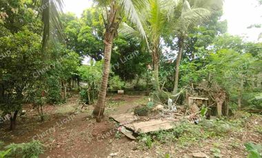 Interior Industrial Lot @ Valenzuela For Sale