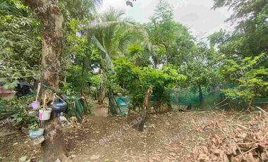 Interior Industrial Lot @ Valenzuela For Sale