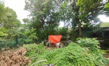 Interior Industrial Lot @ Valenzuela For Sale