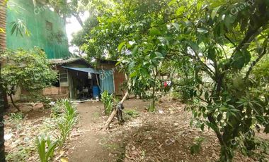 Interior Industrial Lot @ Valenzuela For Sale