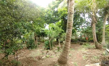 Interior Industrial Lot @ Valenzuela For Sale