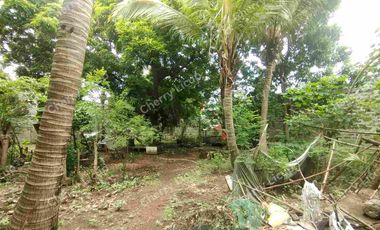 Interior Industrial Lot @ Valenzuela For Sale