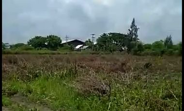 Tanah Tuban Kawasan Industri Mrutuk Utara Kecamatan Widang Jawa Timur