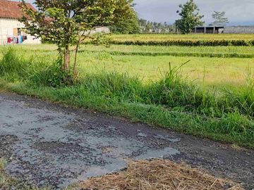 Dijual sawah view merapi dan hamparan persawahan di manisrenggo Klaten