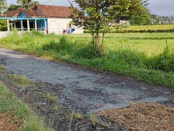 Dijual sawah view merapi dan hamparan persawahan di manisrenggo Klaten